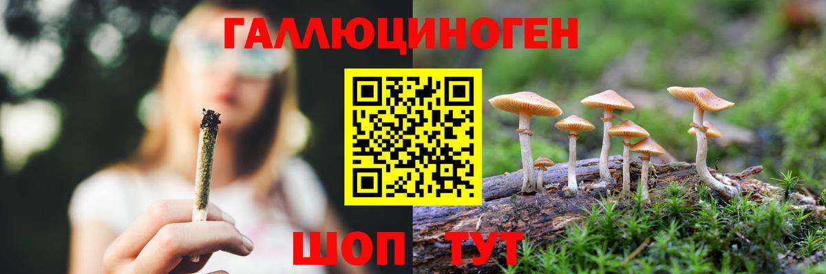 Галлюциногенные грибы Magic Shrooms Железноводск